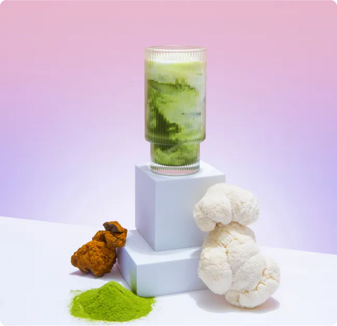 60 Servings of Mushroom Matcha+ FREE Starter Kit